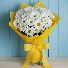 Букет цветов из:  Хризантемы #REPLACE_PRED# Кривандино