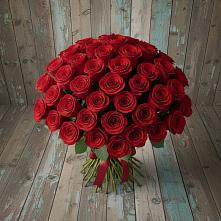 Букет 55 Красных роз Фридом #REPLACE_PRED# Кривандино