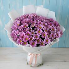 Букет цветов из:  Хризантемы в Кривандино