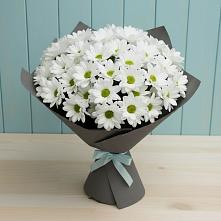 Букет цветов из:  Хризантемы #REPLACE_PRED# Кривандино