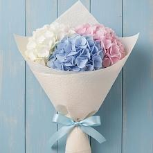 Букет цветов из:  Гортензия в Кривандино