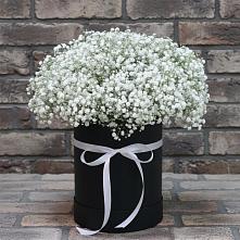 Цветочная композиция из Гипсофила в шляпной коробке #REPLACE_PRED# Кривандино