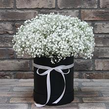 Цветочная композиция из Гипсофила в шляпной коробке в Кривандино