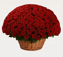 Премиум букет из: Розы в Кривандино