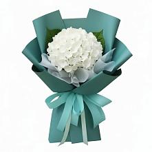 Букет цветов из:  Гортензия в Кривандино